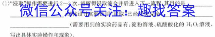 【精品】2024年山西省初中学业水平考试适应性测试(二)2化学