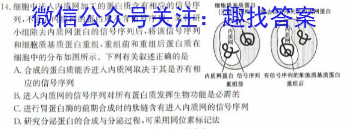 安徽省2023-2024学年度第二学期八年级作业辅导练习（一）生物学试题答案