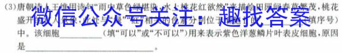 2024届湖南省高三4月联考(24-432C)生物学试题答案