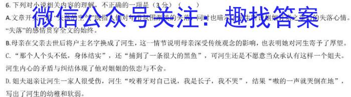 河北省2024年九年级模拟检测（2024.5）语文