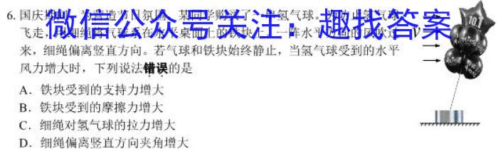 湖北省2024年高考冲刺模拟卷(一)物理`