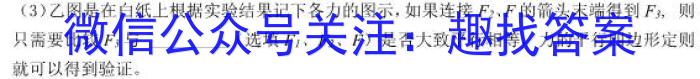 考前信息卷·第六辑 砺剑·2024相约高考 考前冲刺预测卷(一)物理试题答案