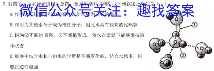 安徽省C20教育联盟2024年九年级第四次模拟试卷生物学试题答案