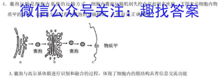 安徽省2023-2024学年下学期八年级教学评价四（卷四）生物学试题答案