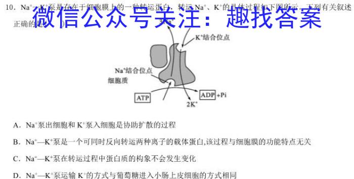 初中"诗画安徽·探索之旅"2024届九年级考试(双菱形)生物学试题答案