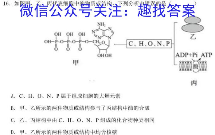 ［潍坊一模］2024届潍坊市高考模拟考试生物学试题答案