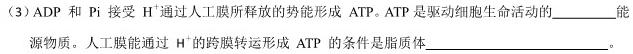 江西省2025届七年级上学期阶段评估1L R-JX(一)1生物