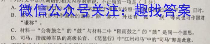 安徽省安师联盟2024年中考权威预测模拟试卷（七）语文