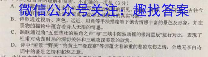 文博志鸿 2024年河北省初中毕业生升学文化课模拟考试(导向二)/语文