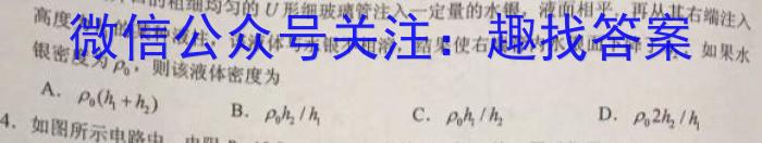 [济南三模]2024年5月济南市高三模拟考试物理试卷答案