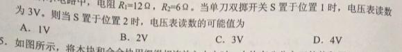 [今日更新]（网络 收集版）2024年新课标全国Ⅰ卷.物理试卷答案