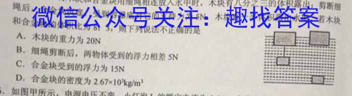 陕西省商洛市2024届高三第四次模拟检测(24-422C)h物理