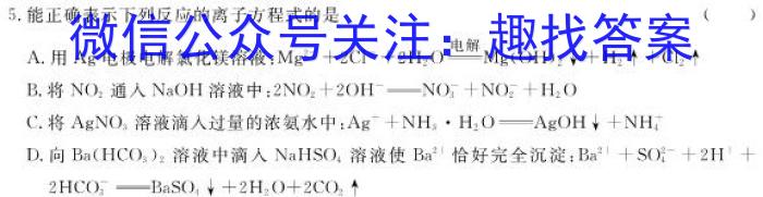 3辽宁省名校联盟2024年高二3月份联合考试化学试题