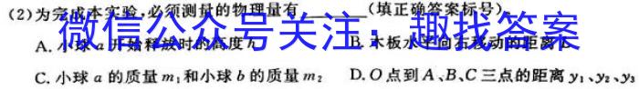 贵州省贵阳第一中学2024届高考适应性月考卷(九)(黑白黑黑黑白白)物理试卷答案