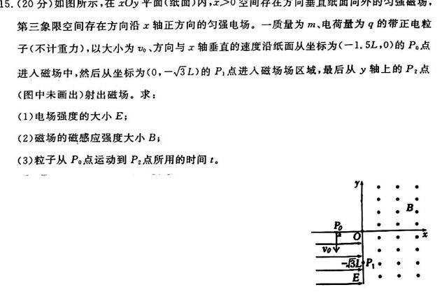 湖北省武汉市江岸区2023-2024学年度第二学期期末质量检测（高一）(物理)试卷答案