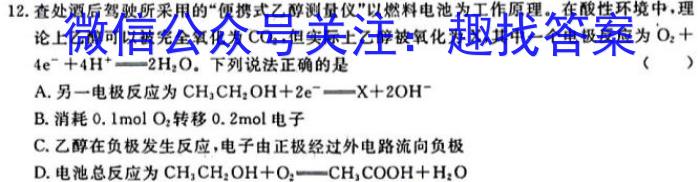 3陕西省2023-2024学年度第二学期八年级阶段性学习效果评估（一）化学试题