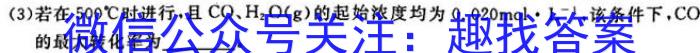 32024年普通高等学校招生全国统一考试 名校联盟·模拟信息卷(T8联盟)(七)化学试题