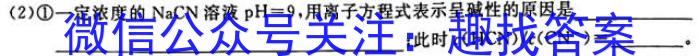 [师大名师金卷]2024年陕西省初中学业水平考试模拟卷(一)1化学