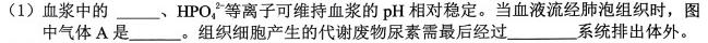 河南省2024年九年级第十二次中考模拟试卷生物