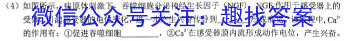 ［晋城三模］晋城市2024年高三第三次模拟考试试题生物