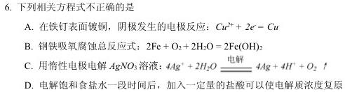 【热荐】陕西省2024年初中学业水平考试模拟试题(三)化学