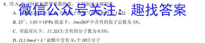 【精品】豫智教育·2024年河南省中招权威预测模拟试卷（一）化学