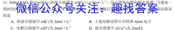 安徽省六安市2024-2025学年度秋学期九年级阶段性检测（一）化学