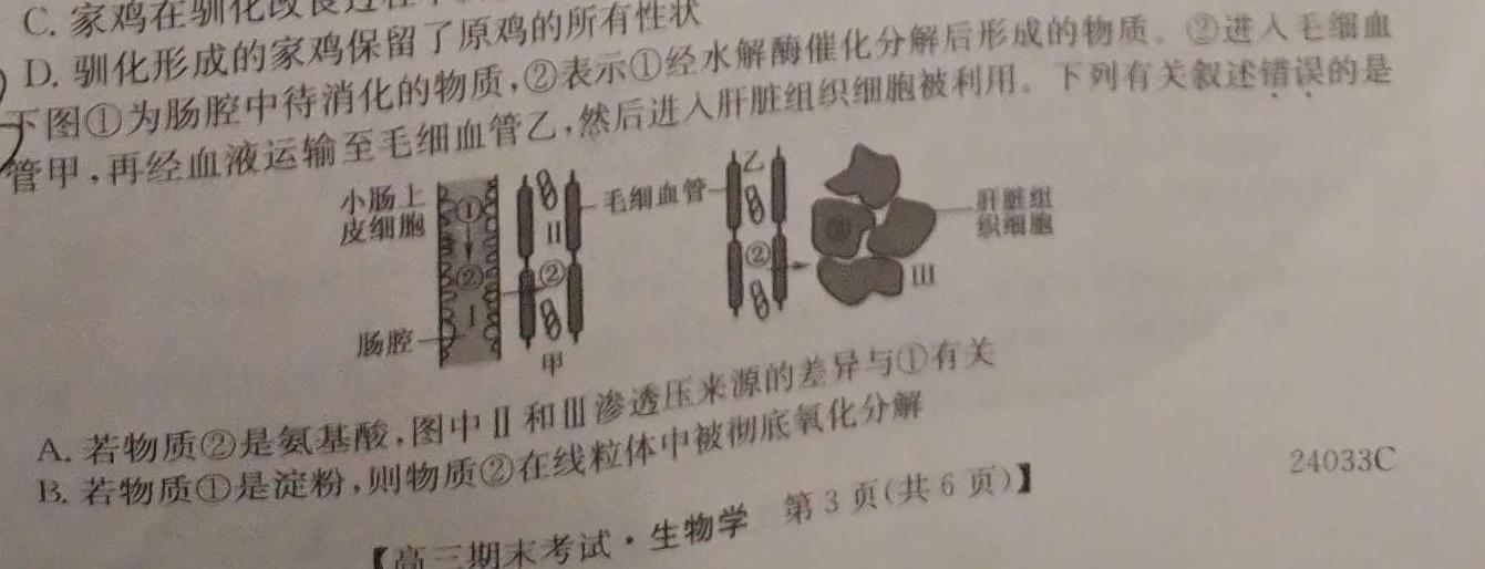 2024届重庆市第八中学高考适应性月考卷(六)生物学