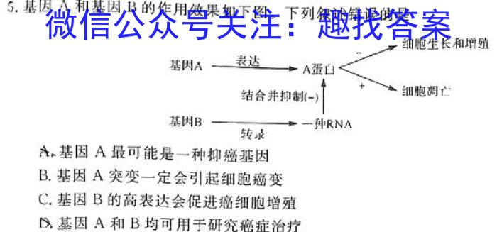 河南省2023-2024学年度八年级第六次月考生物学试题答案