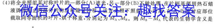 2024年普通高等学校招生全国统一考试标准样卷(一)生物学试题答案