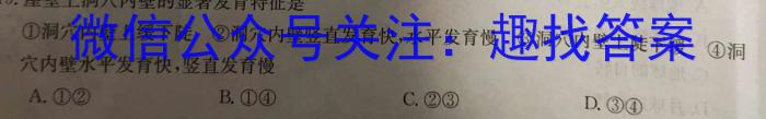 高考研究831 重点课题项目陕西省联盟学校2024年联考地理试卷答案