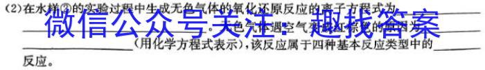 湖南省2024年春季九年级毕业会考模拟练习卷(五)化学