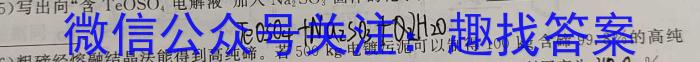 2024年河南省新高考信息卷(五)化学