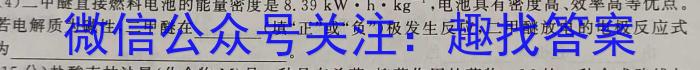 q文博志鸿·2024年河北省初中毕业生升学文化课模拟考试（导向二）化学