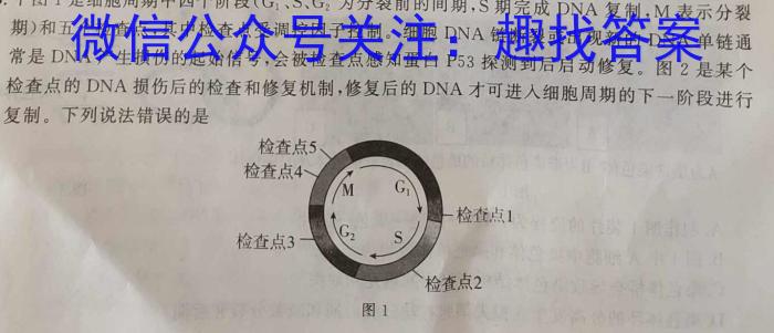 陕西省旬阳市2024年初中学业水平模拟考试(一)生物学试题答案