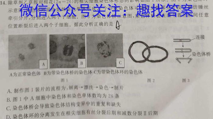 安徽省2023-2024学年七年级第六次联考㊅生物学试题答案