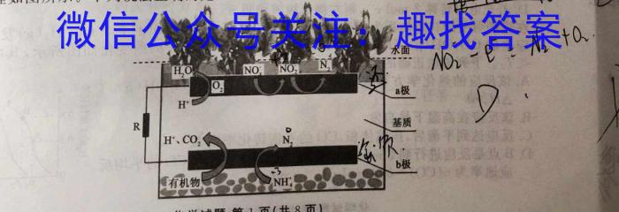 q2024年四川省资阳市高中2021级高考适应性考试(24-462C)化学