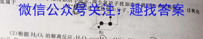 q2024年湖北省新高考信息卷(二)化学