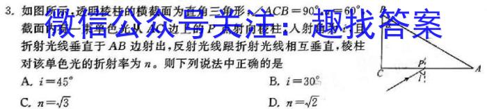 河北省2023-2024学年七年级第二学期第三次学情评估（标题加粗）物理试题答案