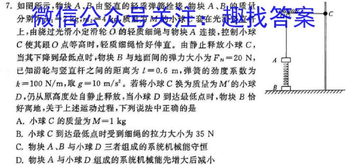 文博志鸿 河南省2023-2024学年七年级第二学期期末教学质量检测物理`