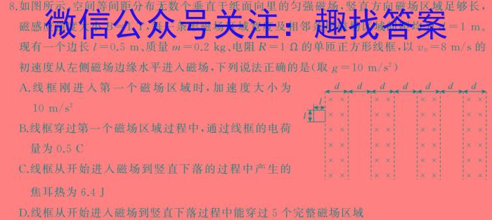 湖北省2024年秋季鄂东南省级示范高中教育教学改革联盟学校高二起点考试物理`