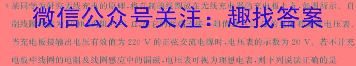 2024年黑龙江龙东联盟2023级高二学年上半学期10月月考物理试卷答案