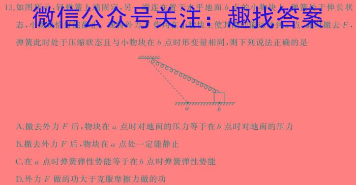 2024届辽宁省高三4月联考(24-404C)h物理