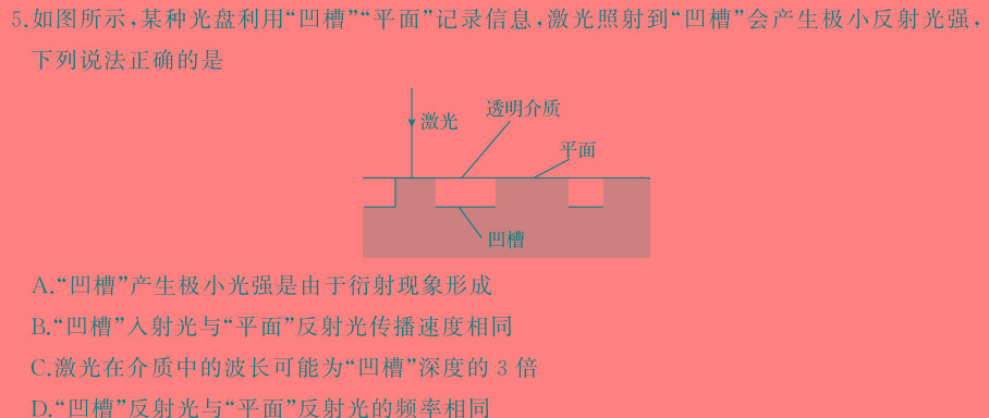 2024年毕节市高一年级期末联考(物理)试卷答案