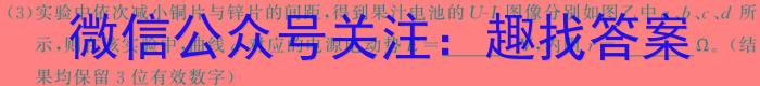 2024届智慧上进 名校学术联盟·高考模拟信息卷押题卷(十)10物理