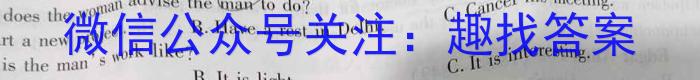 湖北省2024年宜荆荆随恩高二3月联考英语