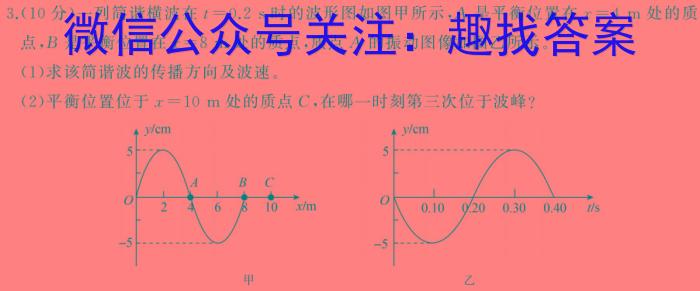 2024年广东省普通高中学业水平选择考模拟测试(二)(物理)