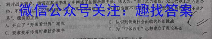 河南省部分学校2024年九年级一模考试历史试卷答案