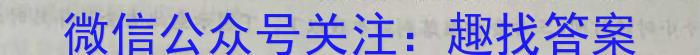 2024年普通高校招生全国统一考试猜题压轴卷(BB)政治1