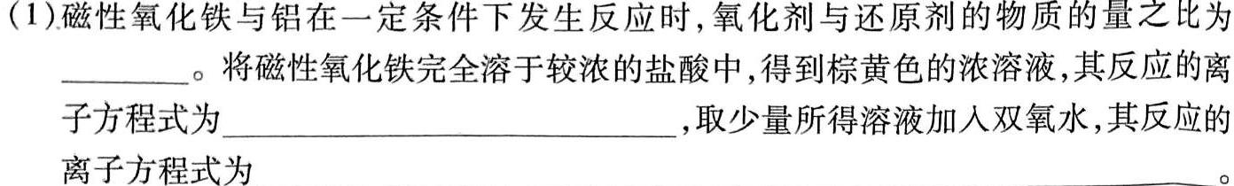 【热荐】2024届河南省中考适应性检测卷化学